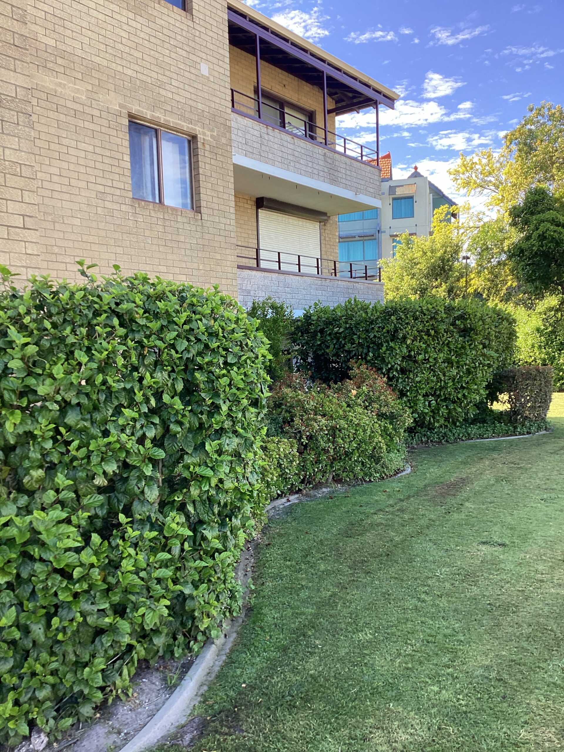 Photo_782627279.536866